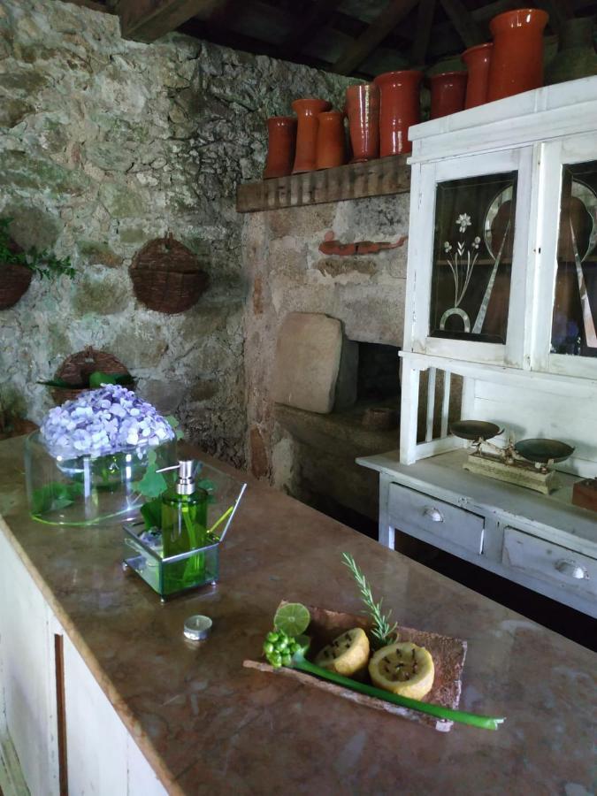 Casa D'Aldeia De Souto De Lafoes Guest House Oliveira de Frades Екстериор снимка