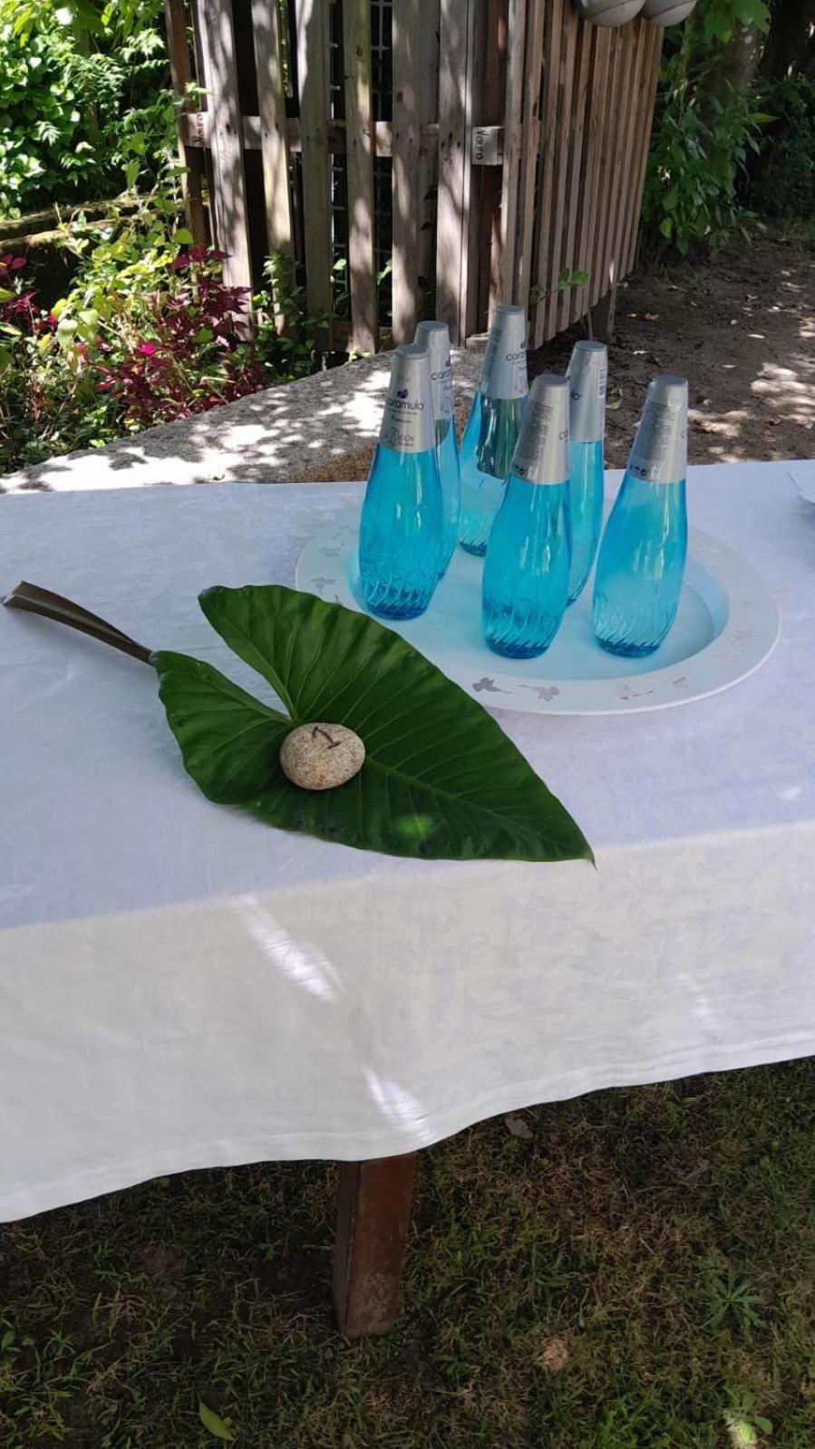 Casa D'Aldeia De Souto De Lafoes Guest House Oliveira de Frades Екстериор снимка