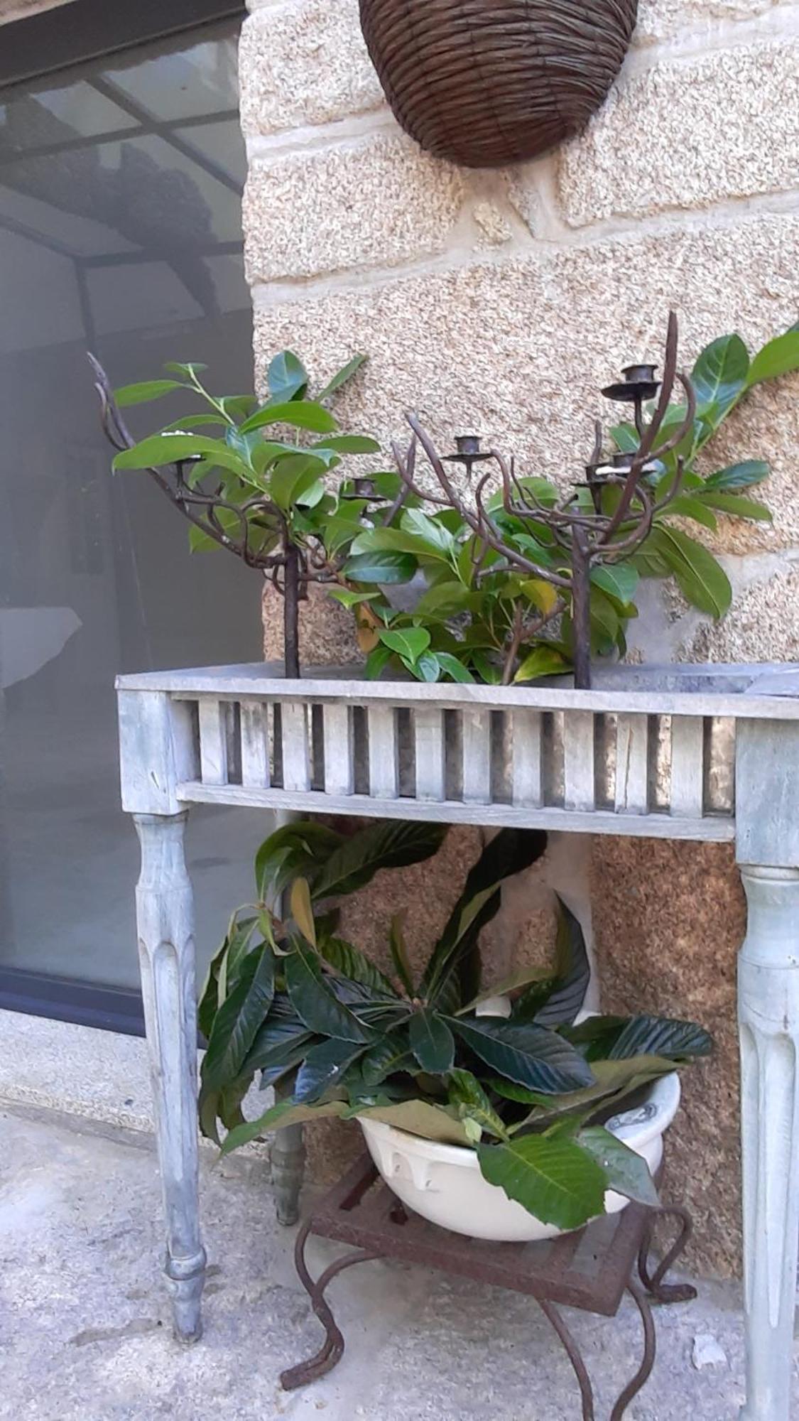 Casa D'Aldeia De Souto De Lafoes Guest House Oliveira de Frades Екстериор снимка